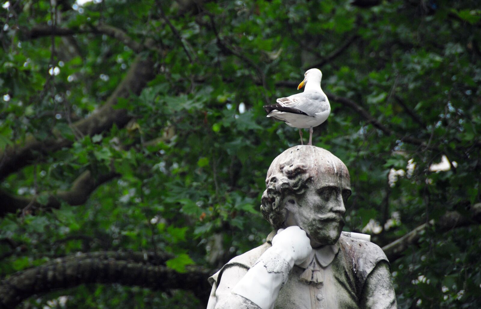 Nikon D200 sample photo. Statue, park, bird photography