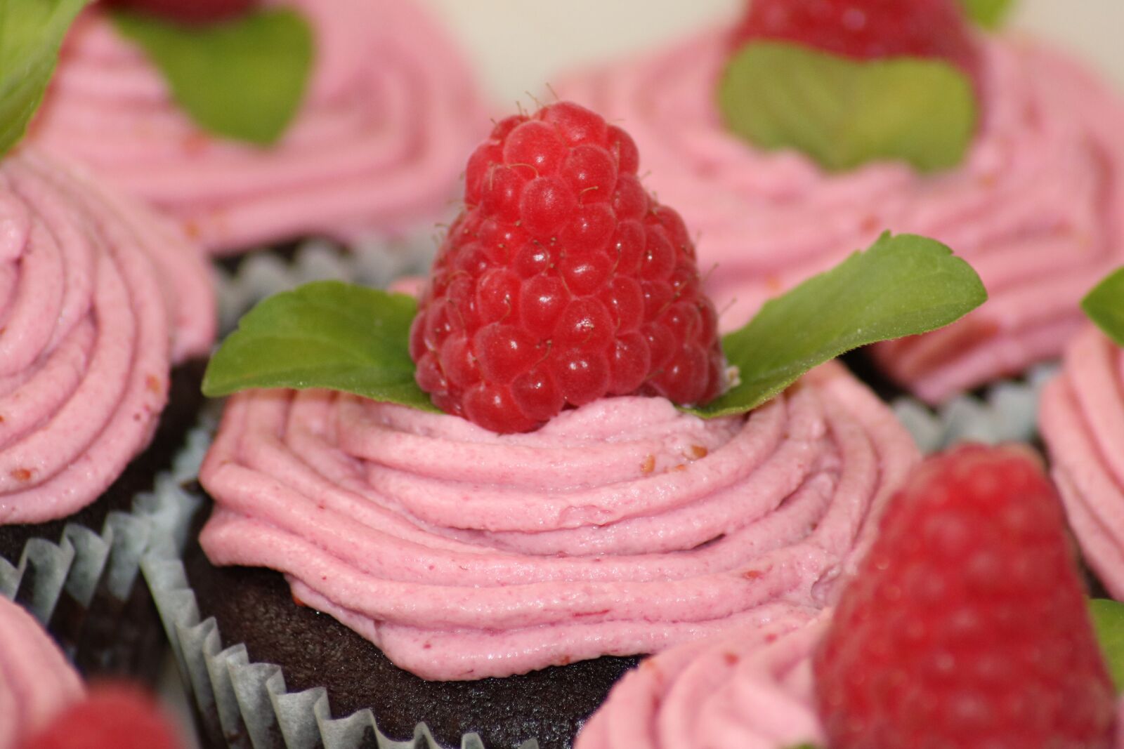 Canon EOS 750D (EOS Rebel T6i / EOS Kiss X8i) sample photo. Pastries, cupcake, dessert photography
