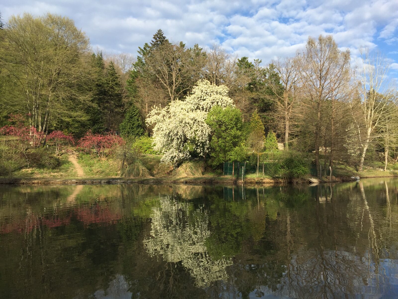 iPhone 6 Plus back camera 4.15mm f/2.2 sample photo. Atat rk arboretum, botanical photography