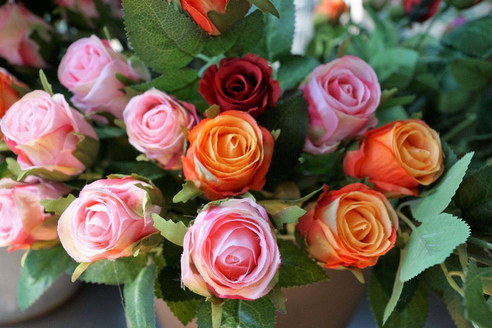 Sony ILCA-77M2 + Sony DT 16-50mm F2.8 SSM sample photo. Plastic, flower, rose photography