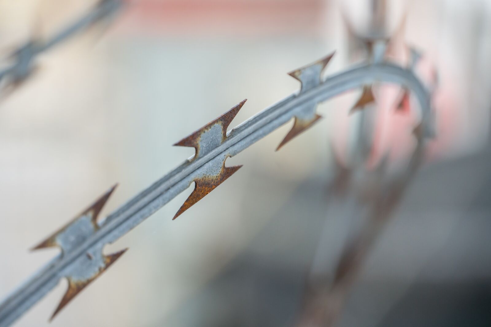 Sony E 18-135mm F3.5-5.6 OSS sample photo. Natodraht, barbed wire, fence photography