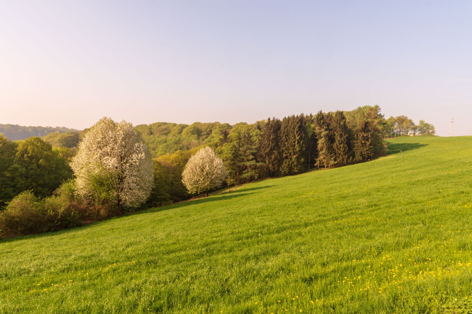Nikon D7200 sample photo. Grass, nature, landscape photography