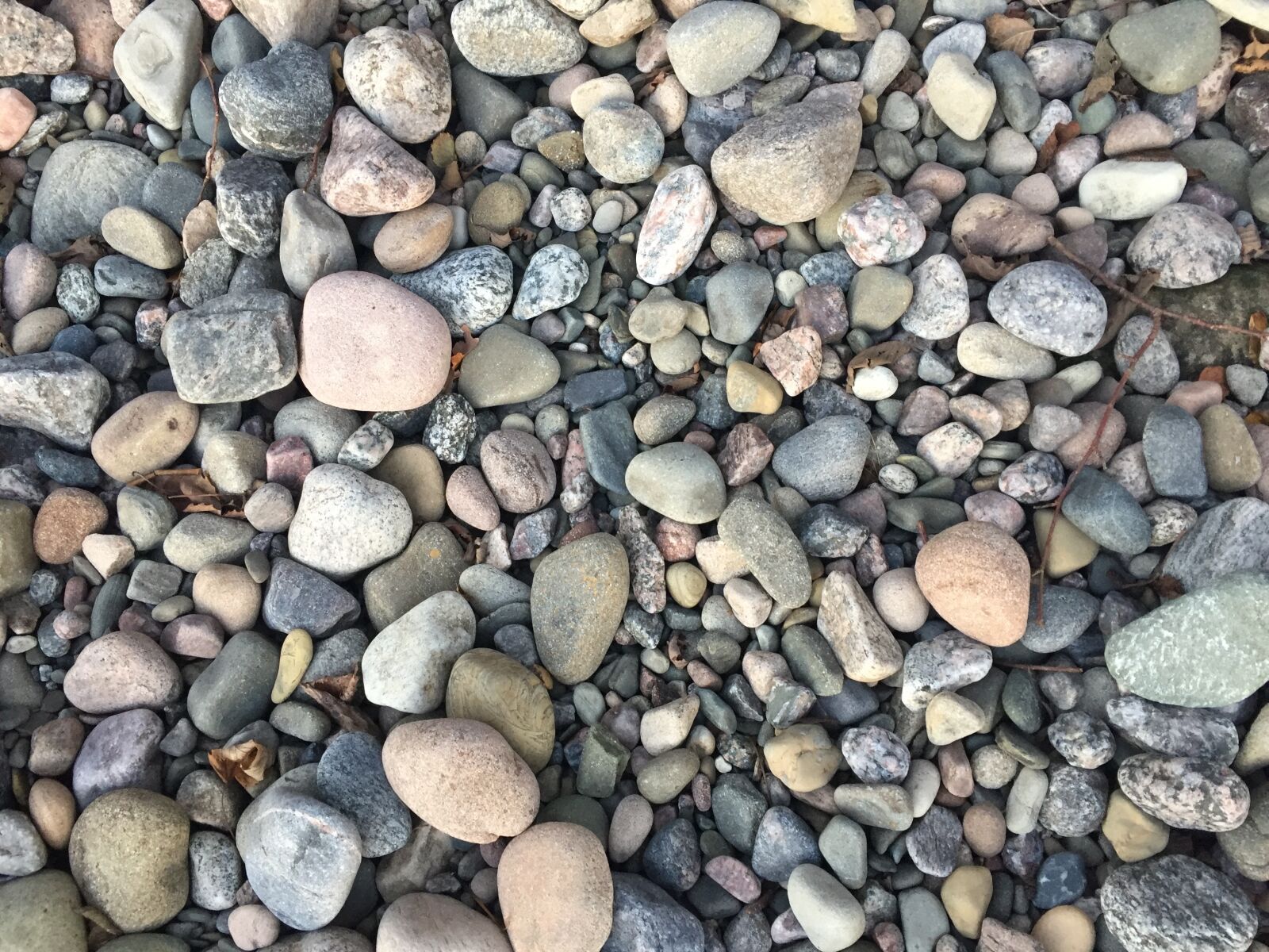 Apple iPhone 6 sample photo. Stones, pebbles, beach photography