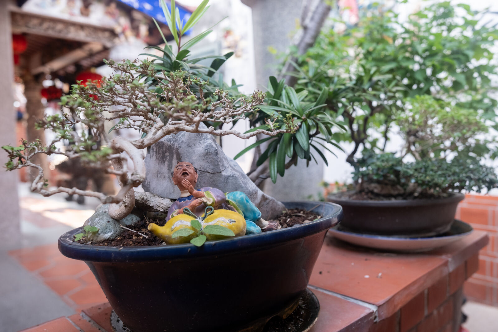 Fujifilm XF 18mm F1.4 R LM WR sample photo