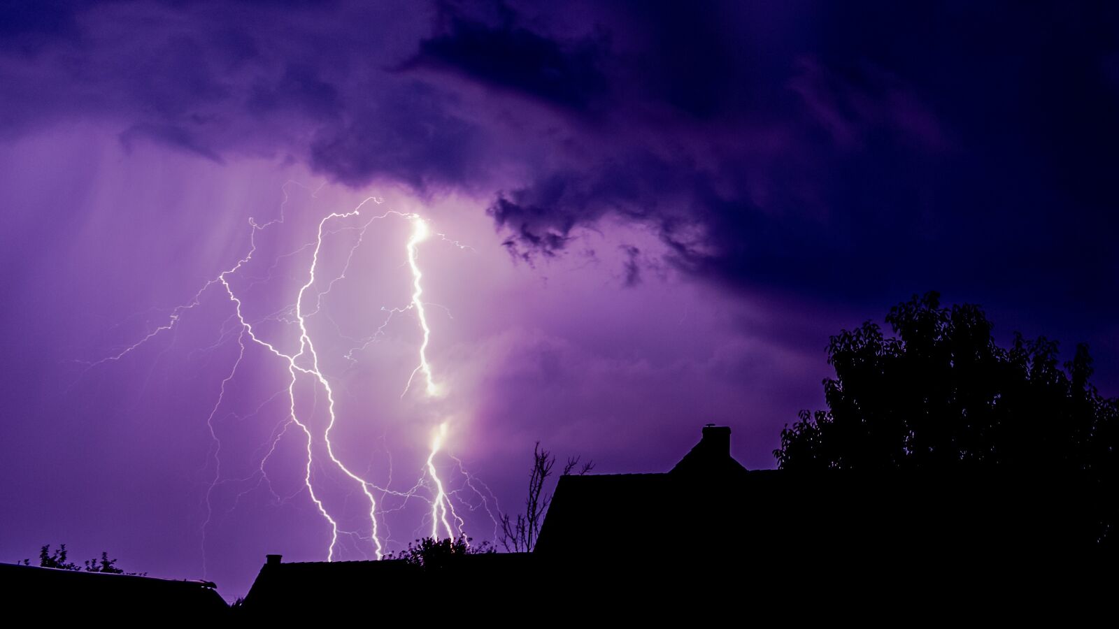 Nikon D5600 sample photo. Lightning, purple, storm photography