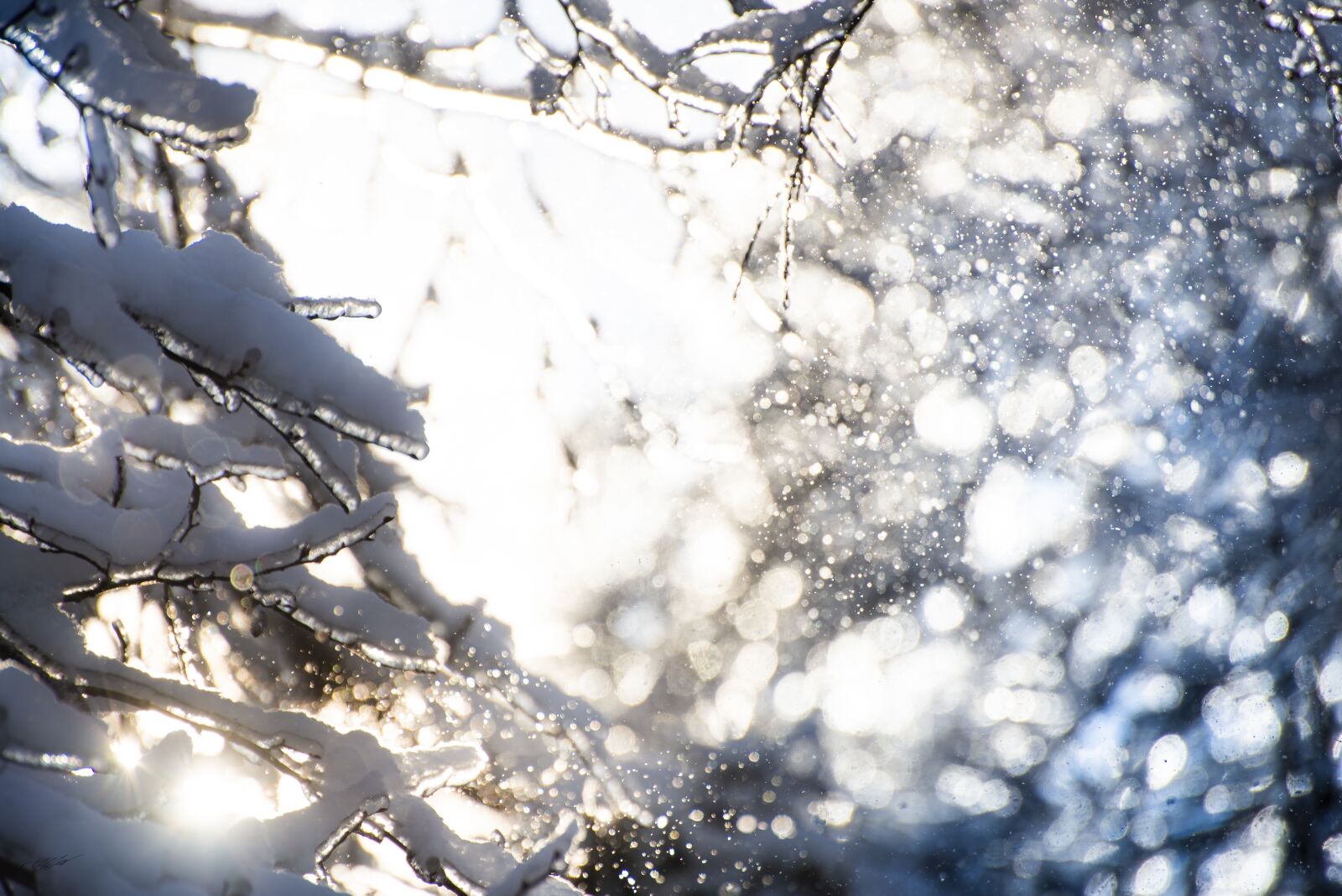 Nikon D600 sample photo. Winter, magic, snow photography