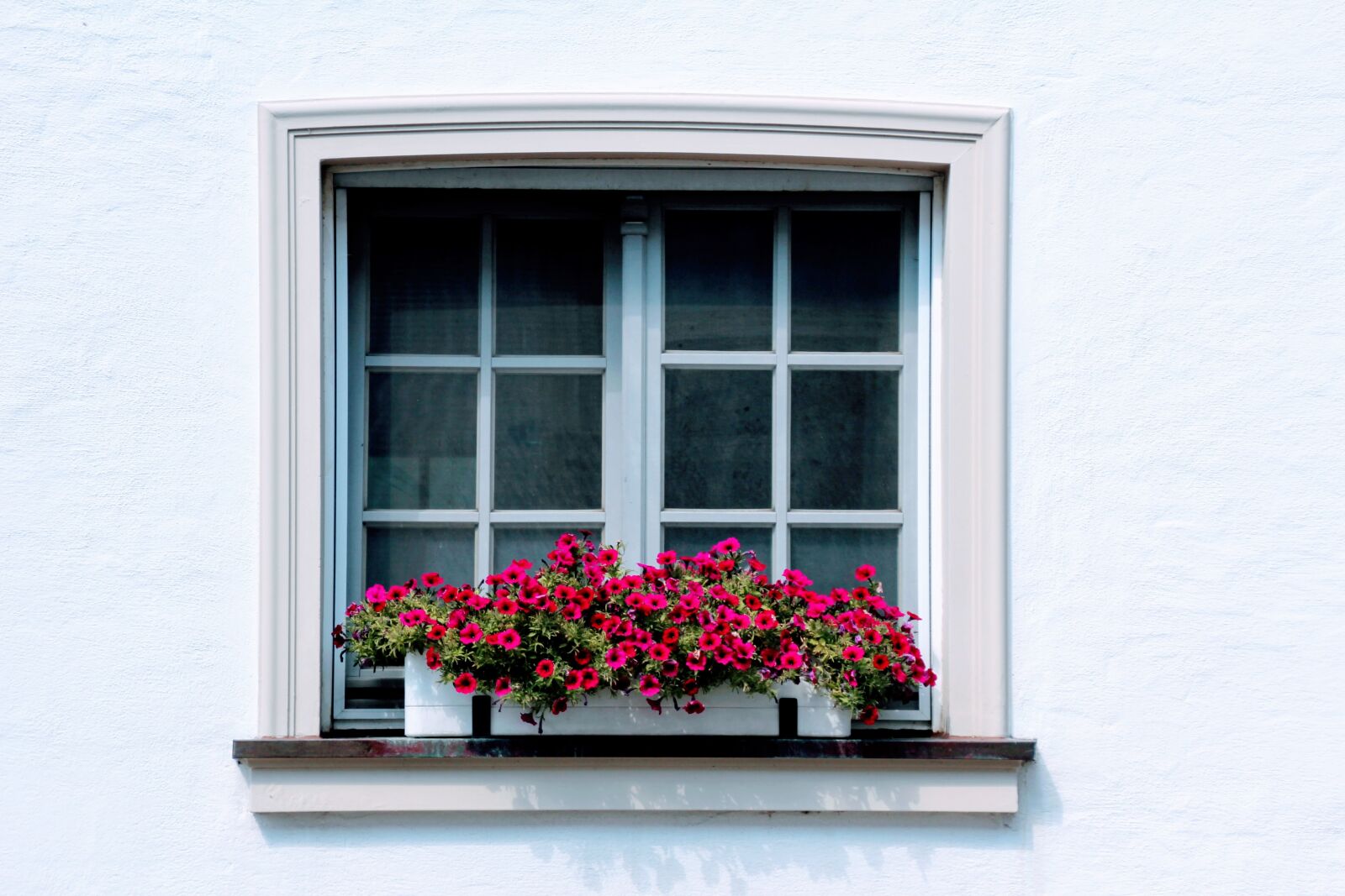 Canon EOS 60D sample photo. Window, flowers, flower box photography