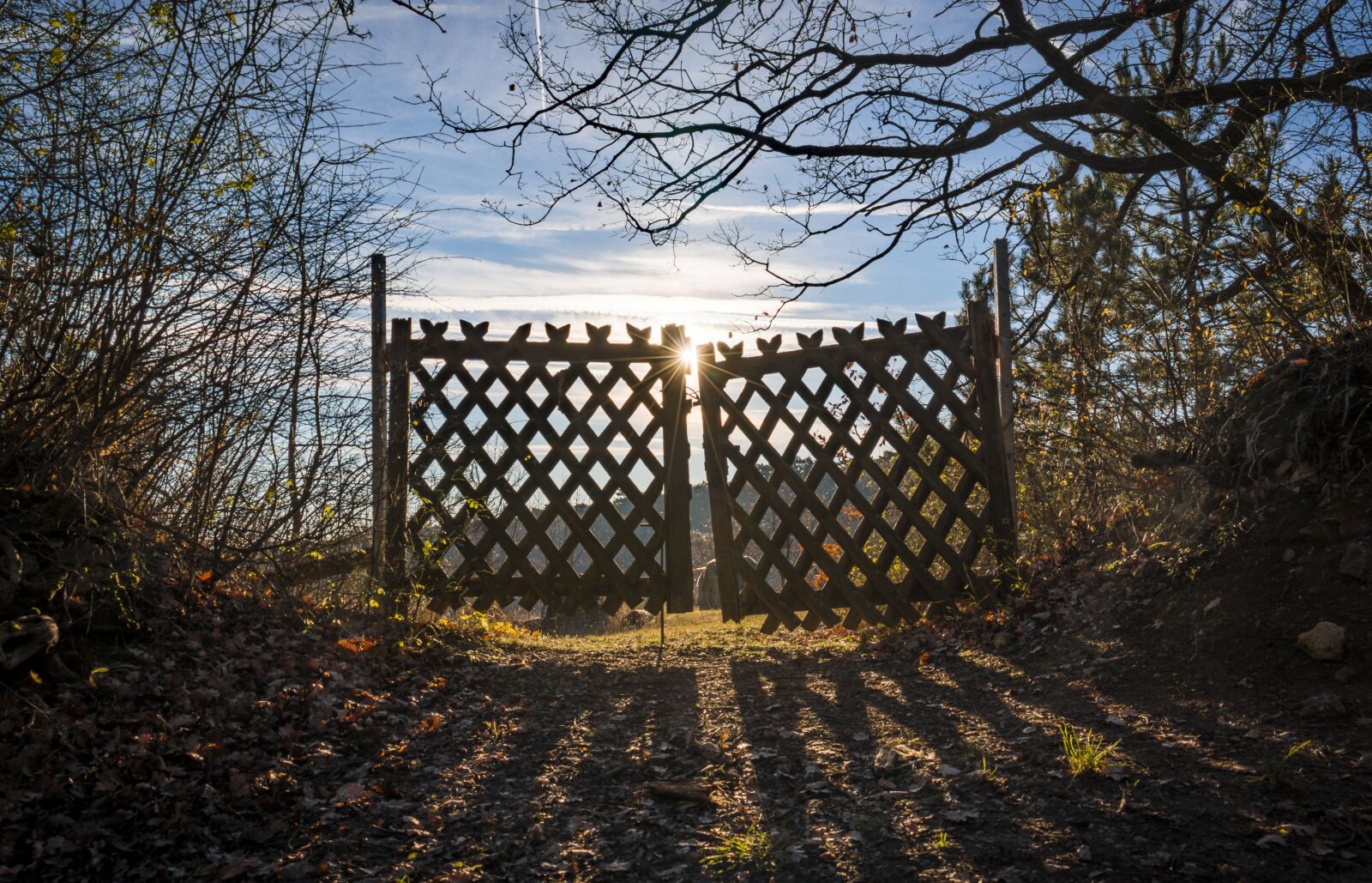 Canon EOS 70D sample photo. Sun, sunbeam, sunset photography