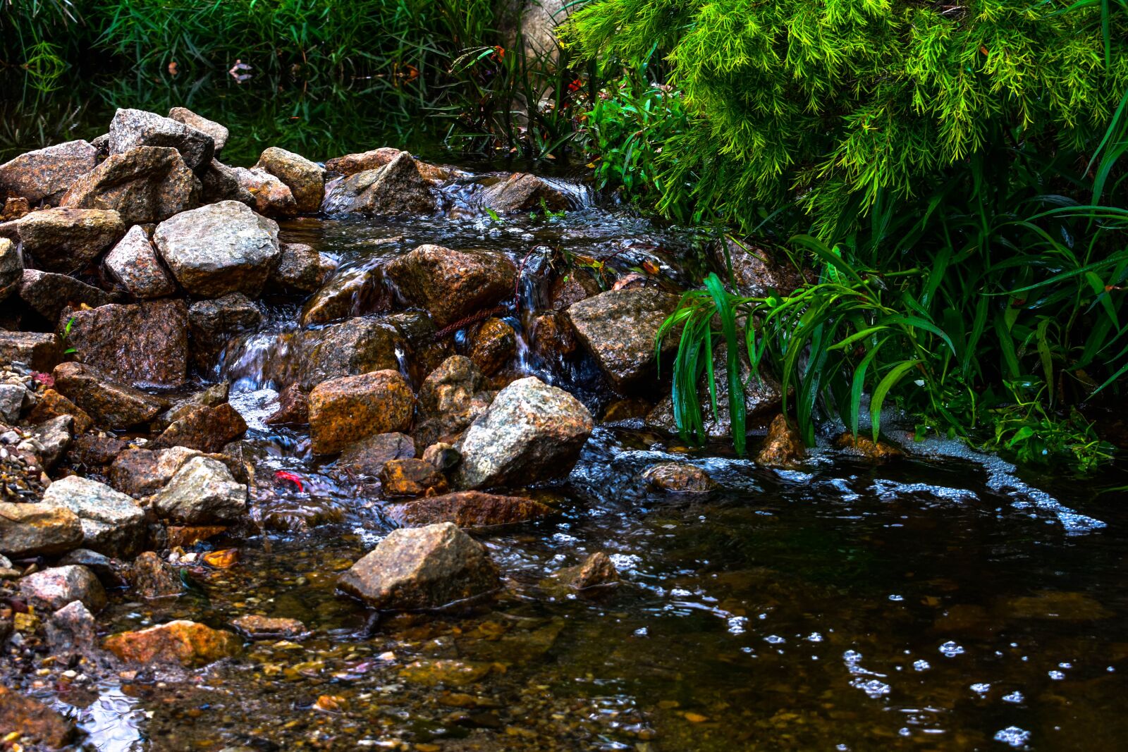 Nikon D3400 sample photo. Creek, rocks, river photography