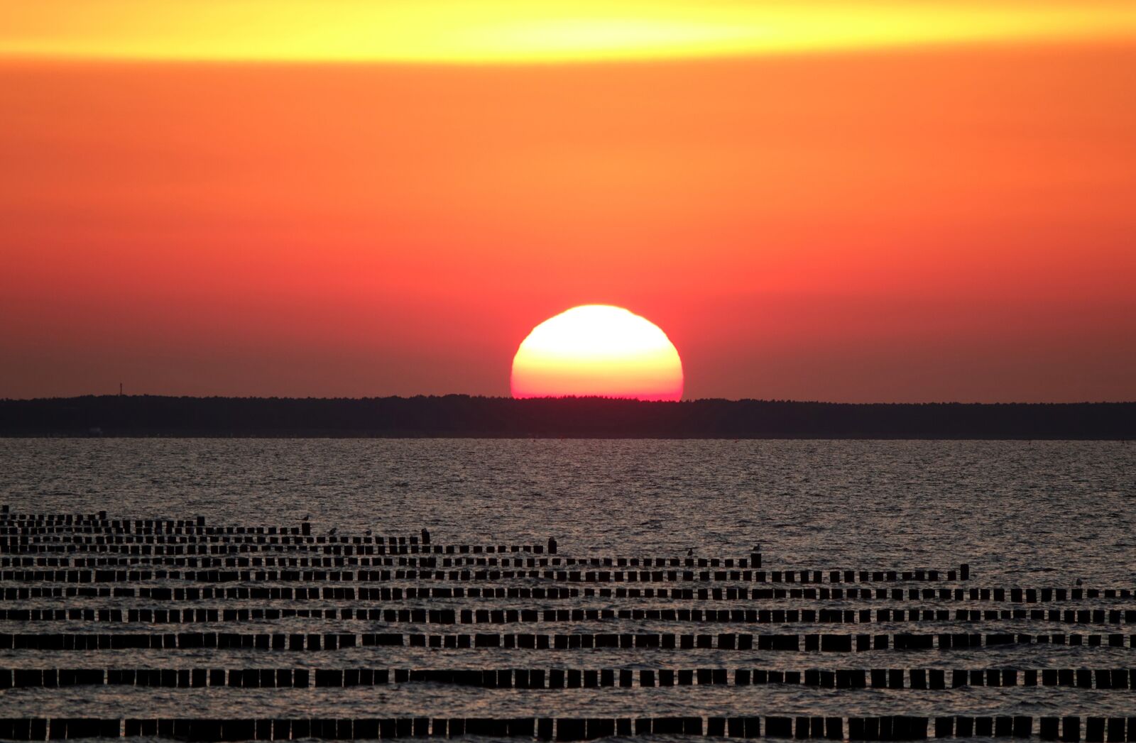 Sony Cyber-shot DSC-RX10 III sample photo. Sunset, baltic sea, beach photography