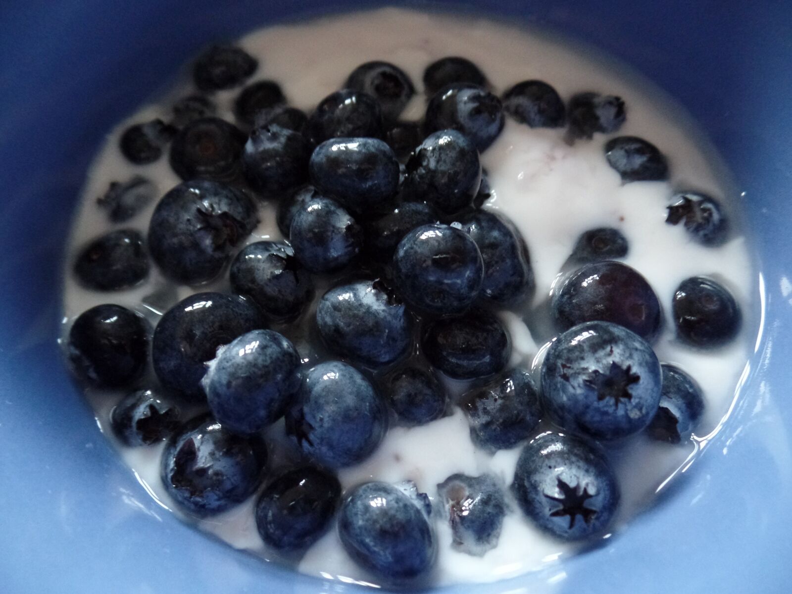 Samsung WB350F/WB351F/WB352F sample photo. Blueberries, healthy, fruit photography