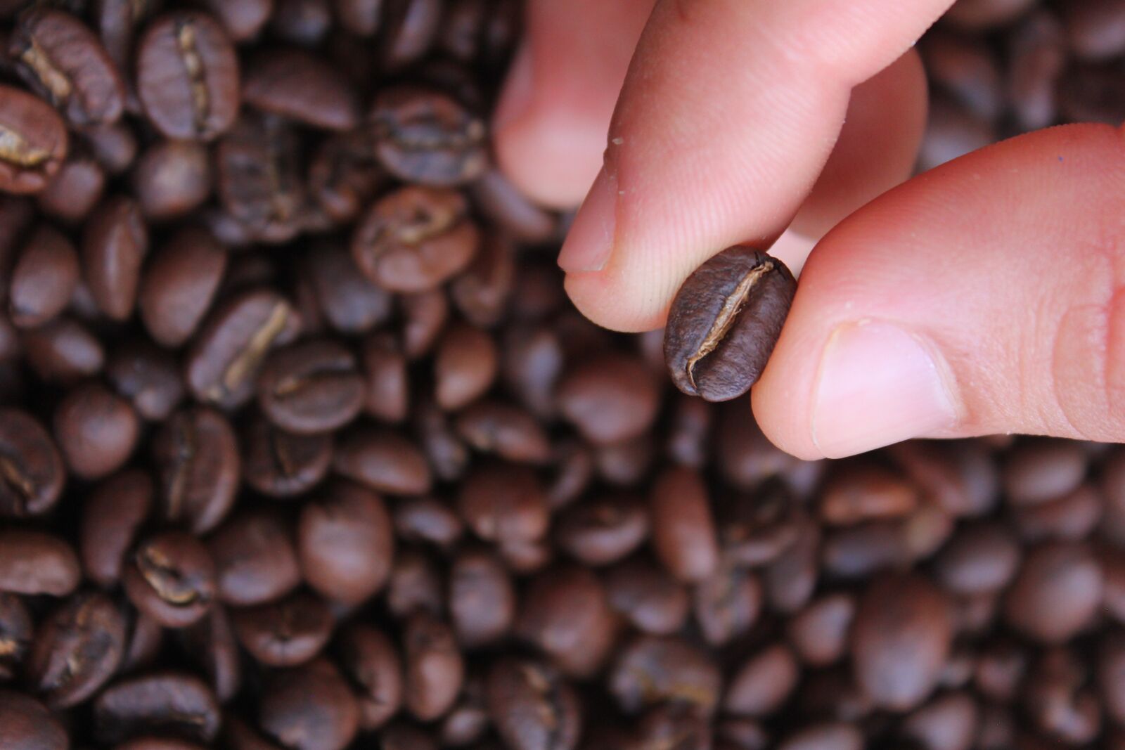 Canon EOS 60D sample photo. Coffee, drink, caffeine photography