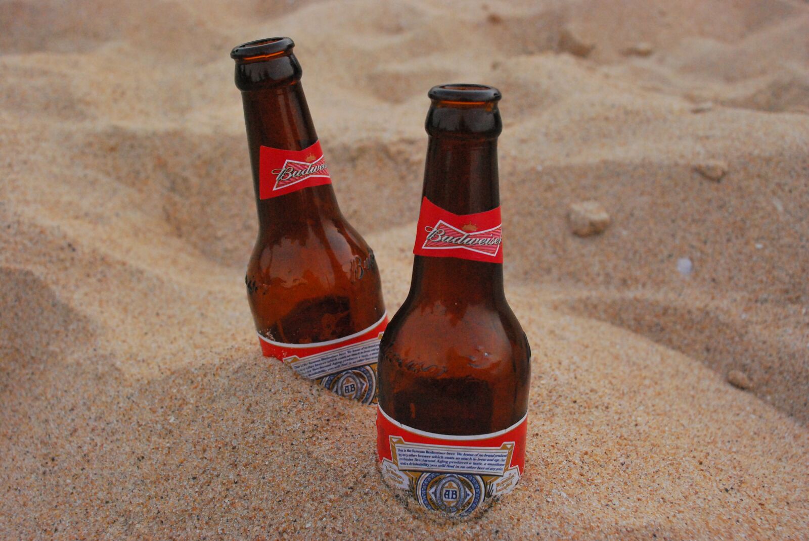 Nikon D60 sample photo. Beer, sand, alcohol photography