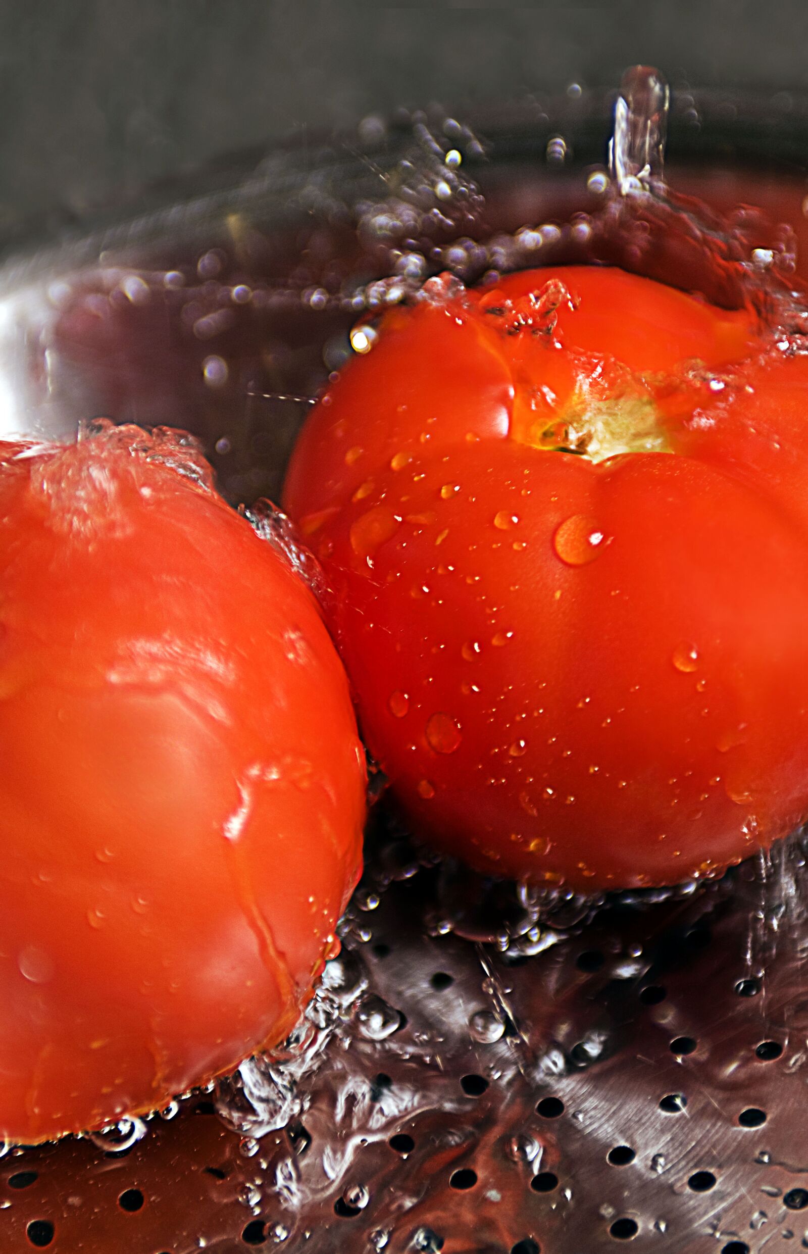 Nikon D300 sample photo. Up-close, two, bright red photography