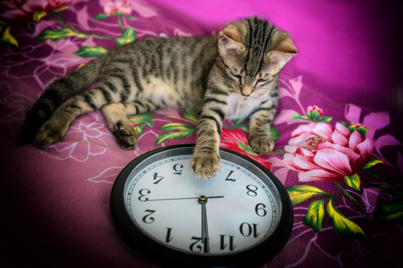 30mm F1.4 DC DN | Contemporary 016 sample photo. New year's eve, clock photography