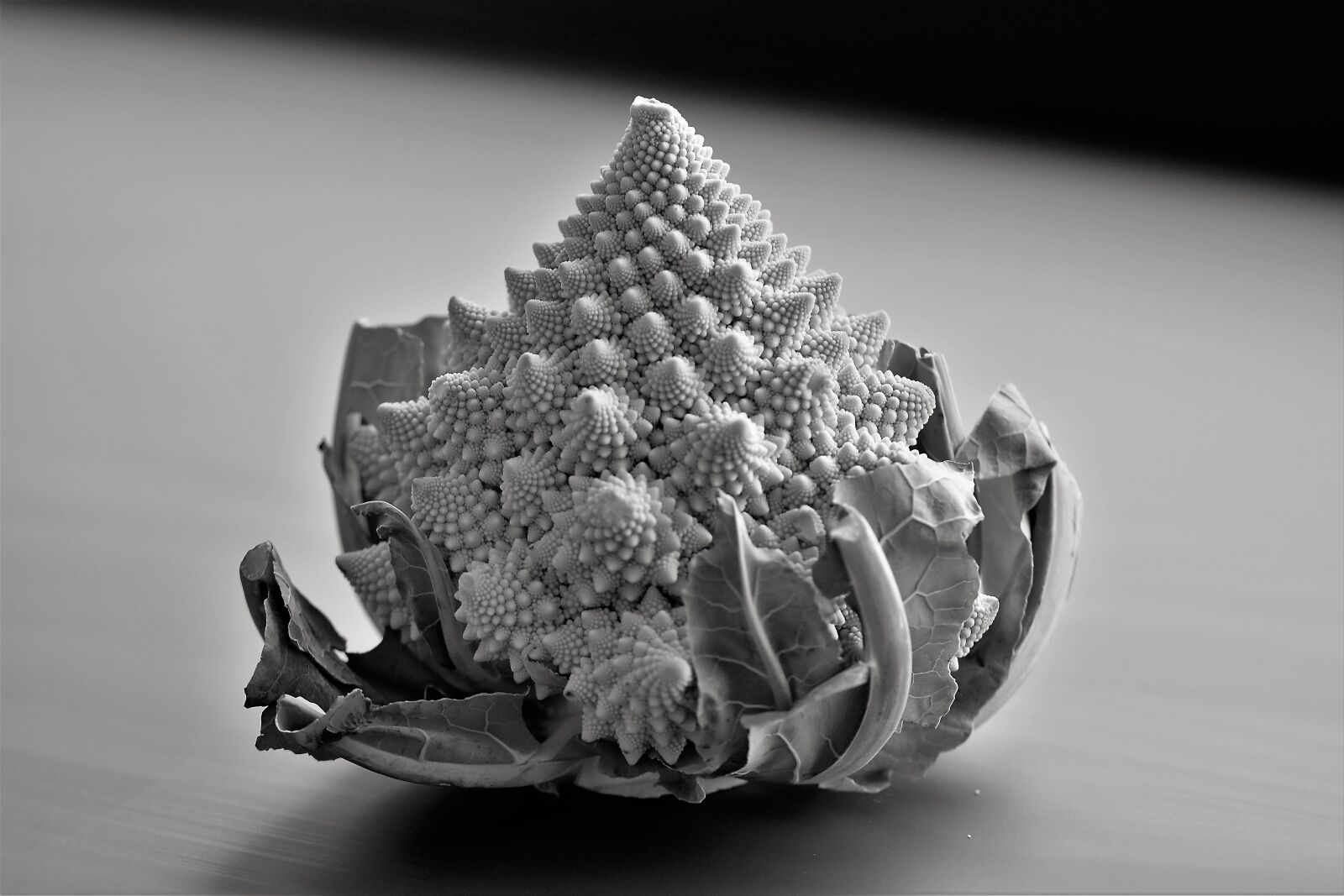 Nikon D5500 sample photo. Romanesco, vegetables, cauliflower photography