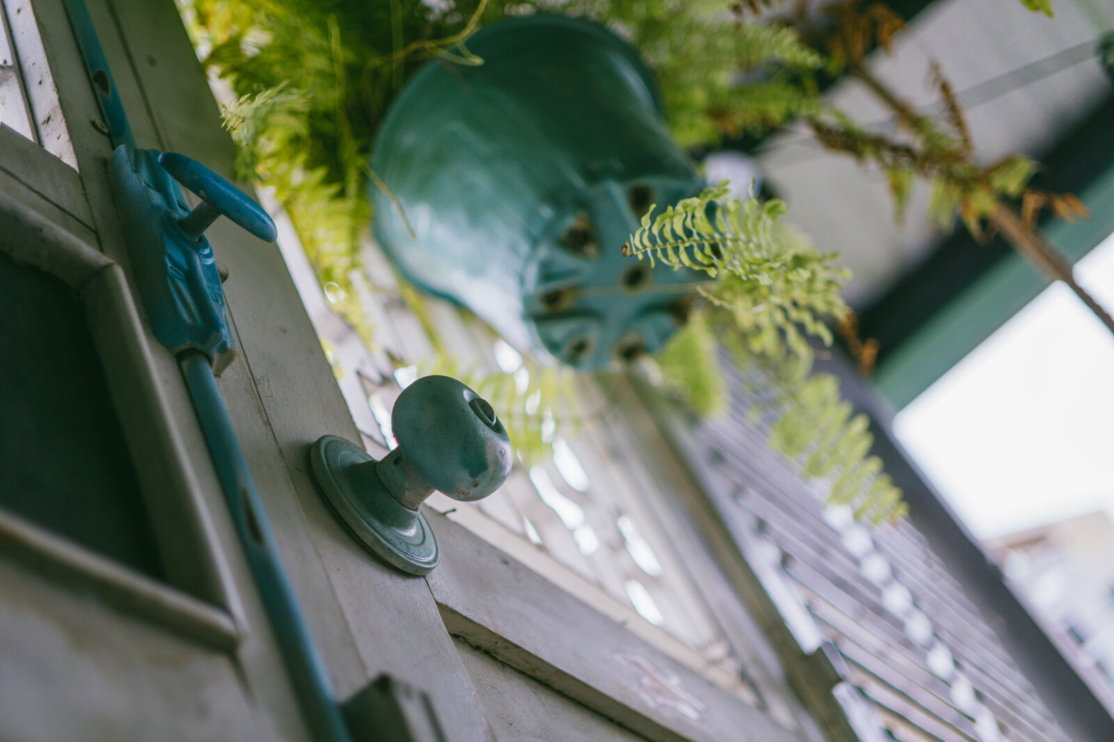 E 32mm F1.8 sample photo