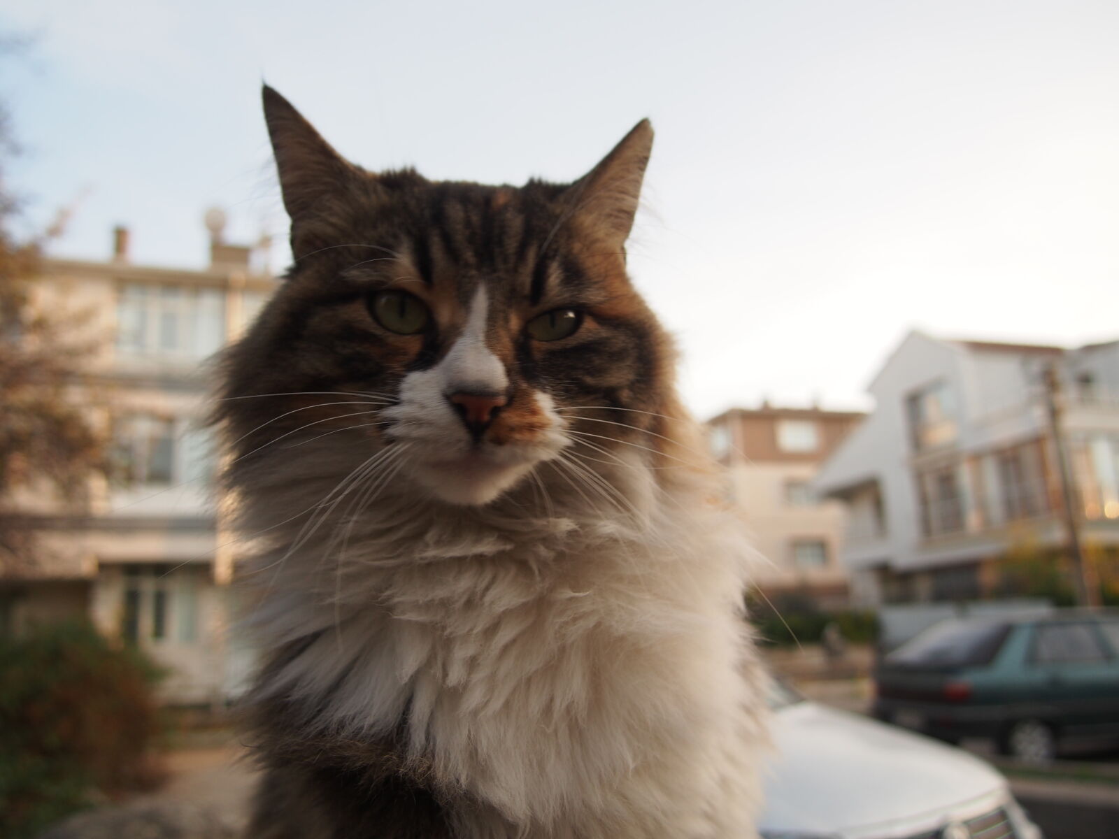 Olympus OM-D E-M5 sample photo