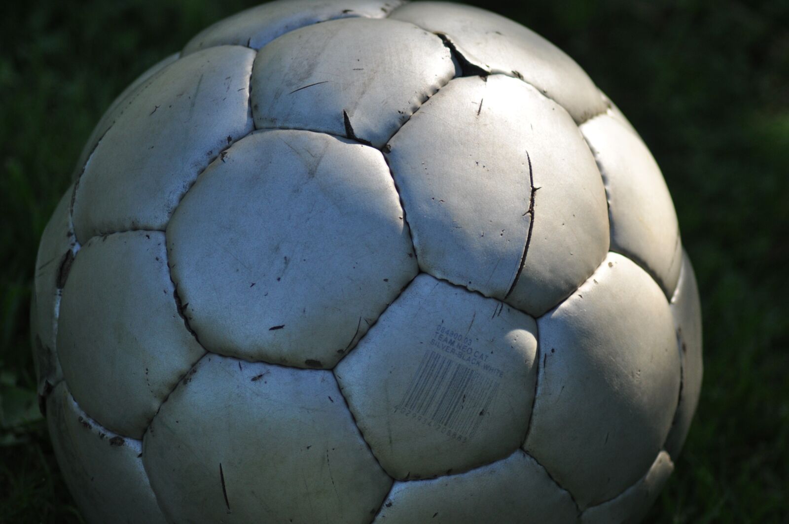 Nikon D5000 sample photo. Ball, silver, sun photography