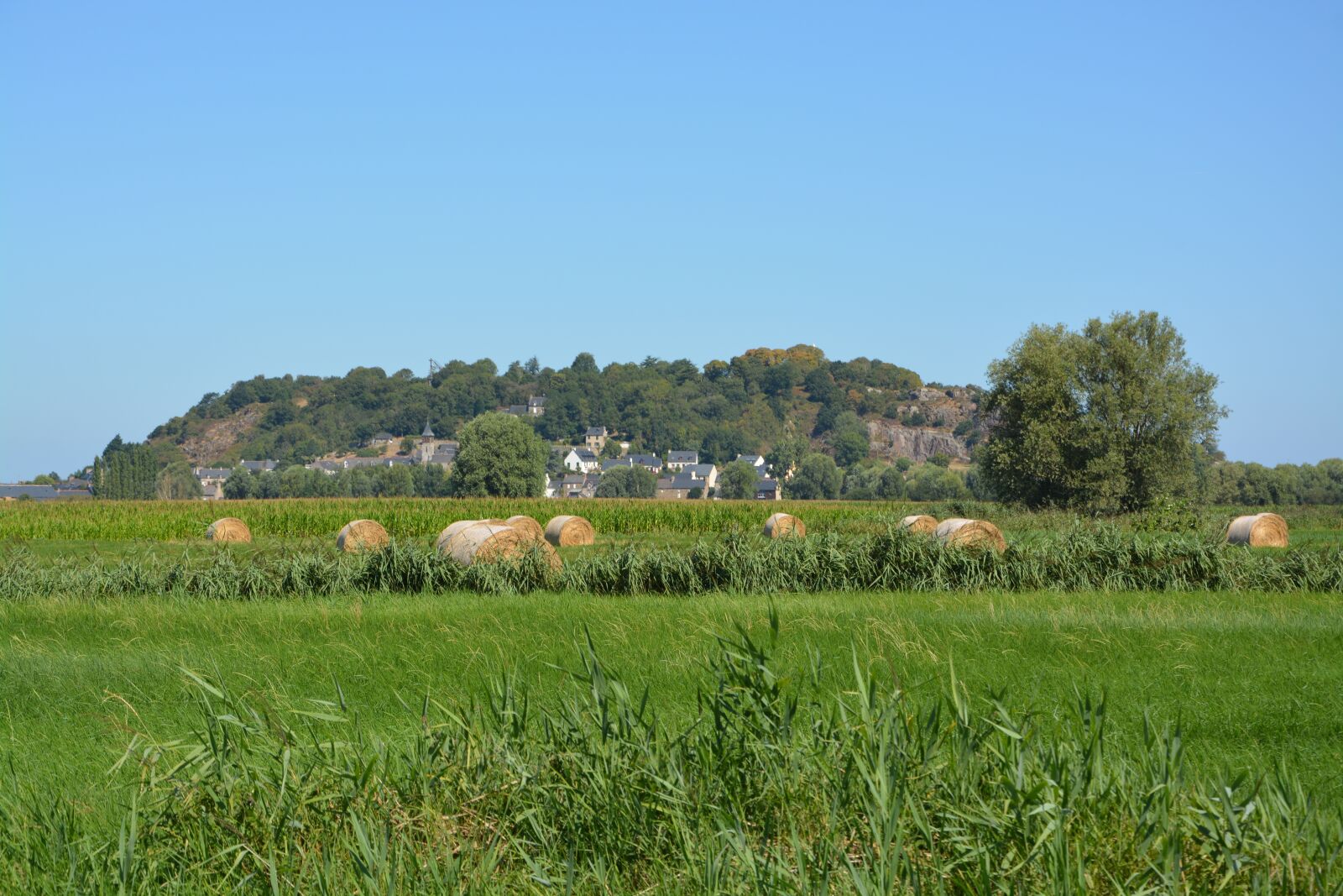 Nikon D5200 sample photo. Panoramic view of mont photography