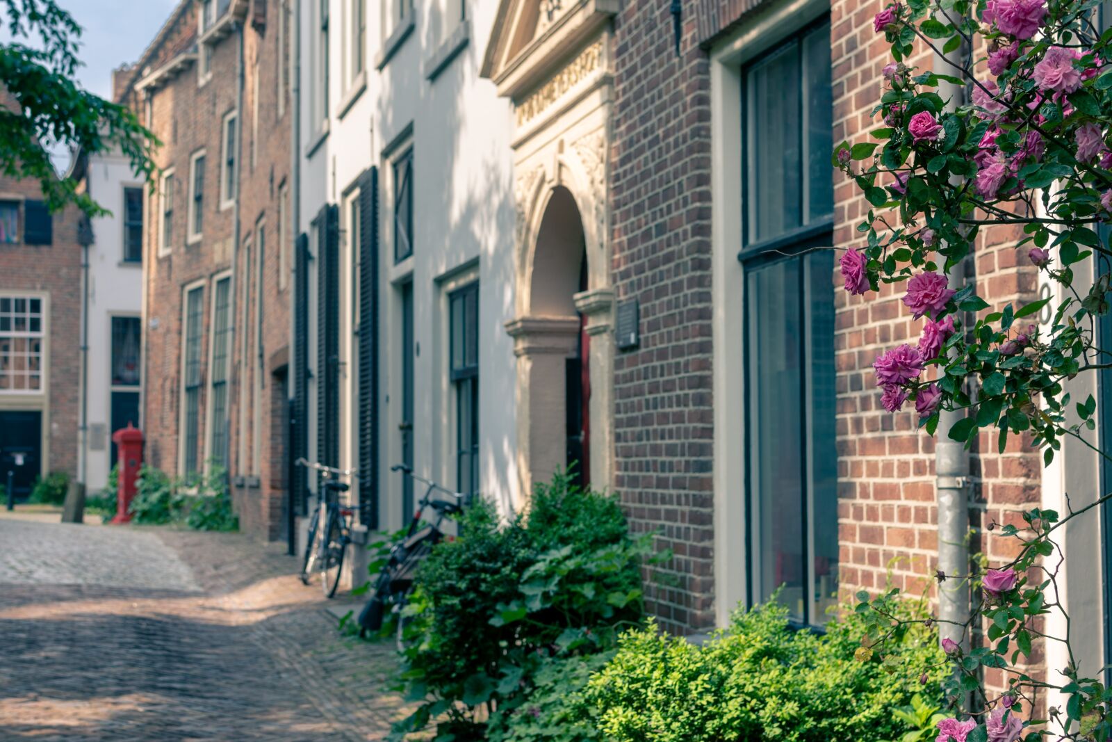 Nikon D7200 sample photo. City, facade, alley photography