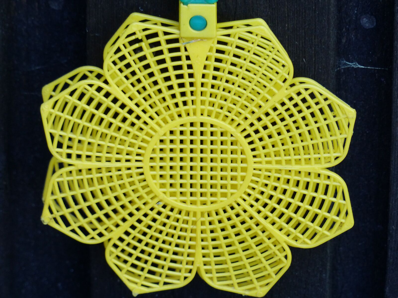Panasonic Lumix DMC-FZ200 sample photo. In january, yellow, plastic photography