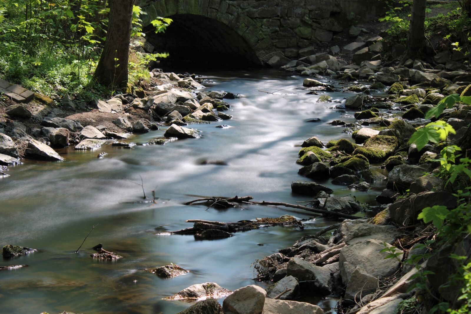 Canon EOS 2000D (EOS Rebel T7 / EOS Kiss X90 / EOS 1500D) sample photo. Bach, water, soft photography