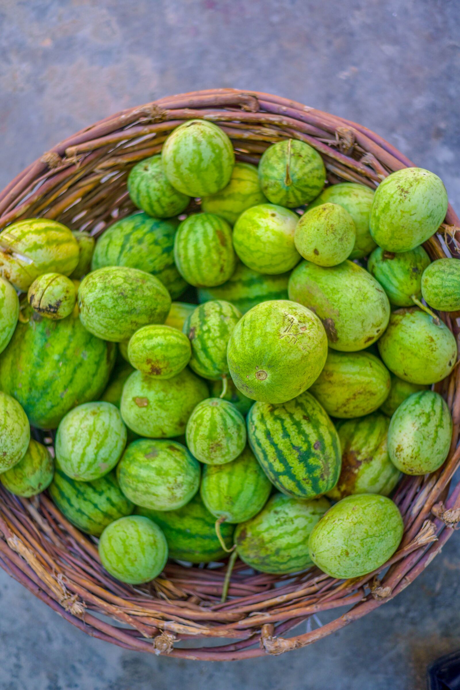 Nikon D750 sample photo. Fruits, watermelon, basket photography