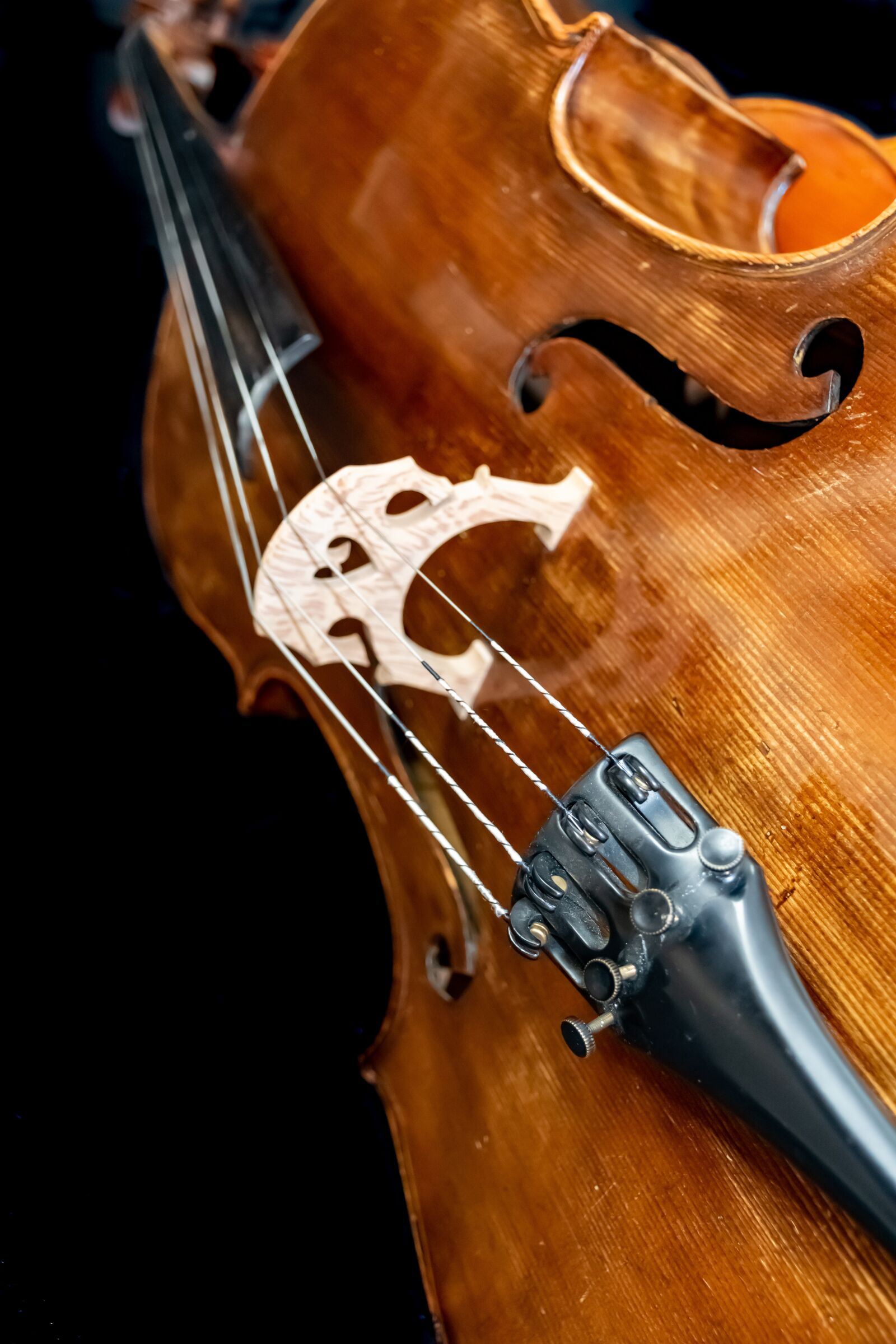 Nikon D5600 sample photo. Cello, german, old photography