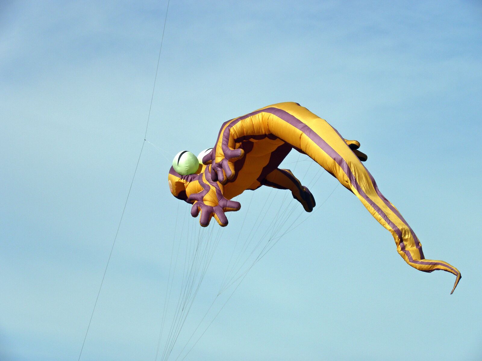 Olympus SP590UZ sample photo. Kite, lizard kite, flying photography