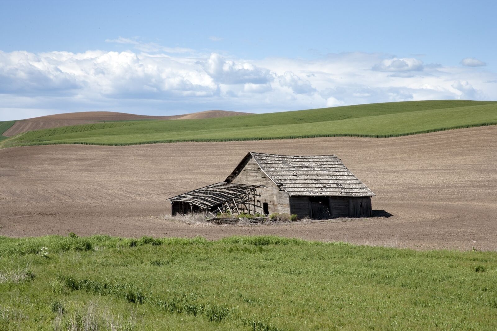 Canon EOS-1Ds Mark II sample photo. Barn, field, wood photography