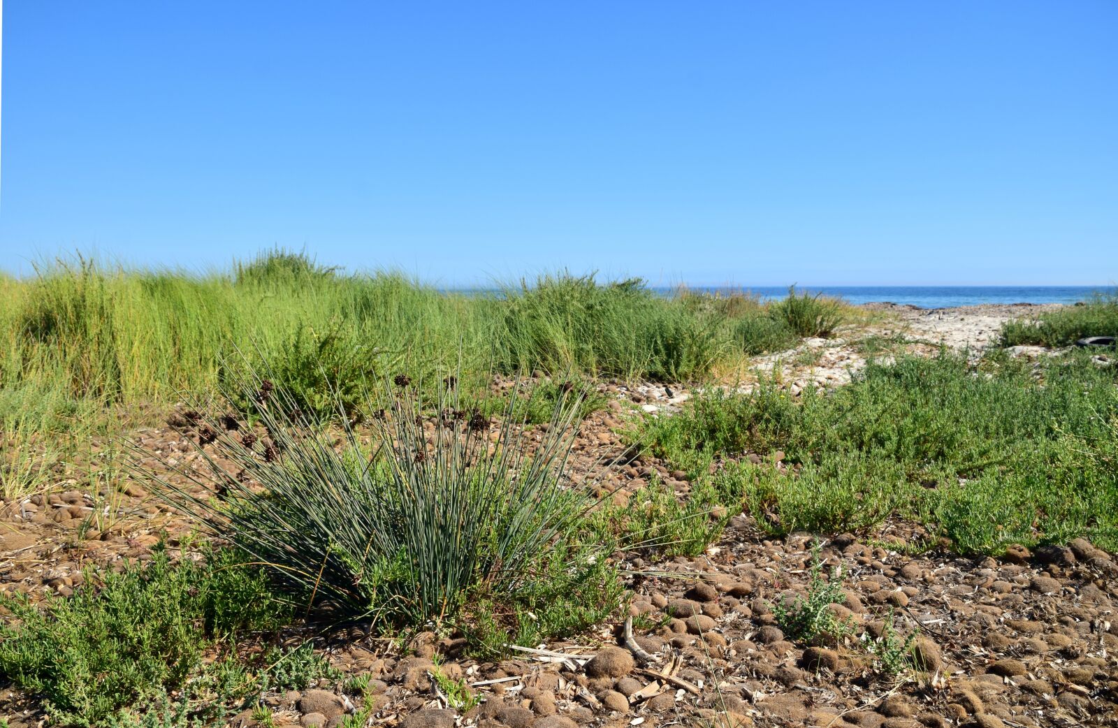 Nikon D3300 sample photo. Dune, sea, coast photography