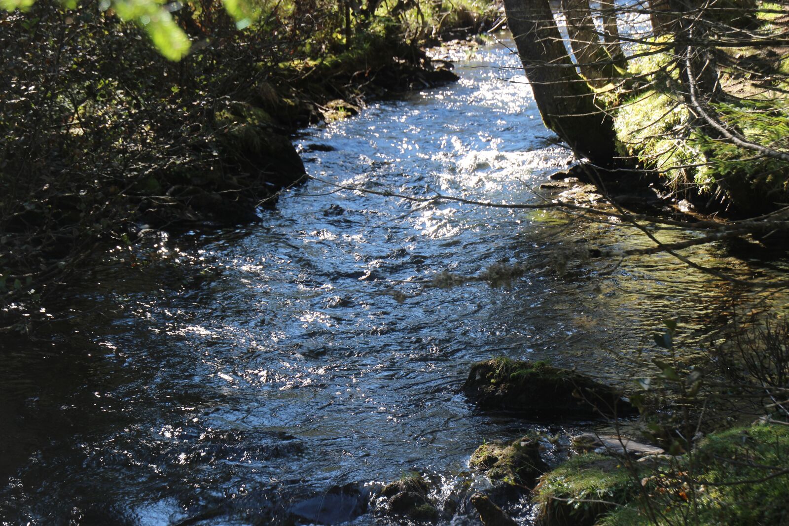 Canon EOS 600D (Rebel EOS T3i / EOS Kiss X5) sample photo. Waters, nature, river photography
