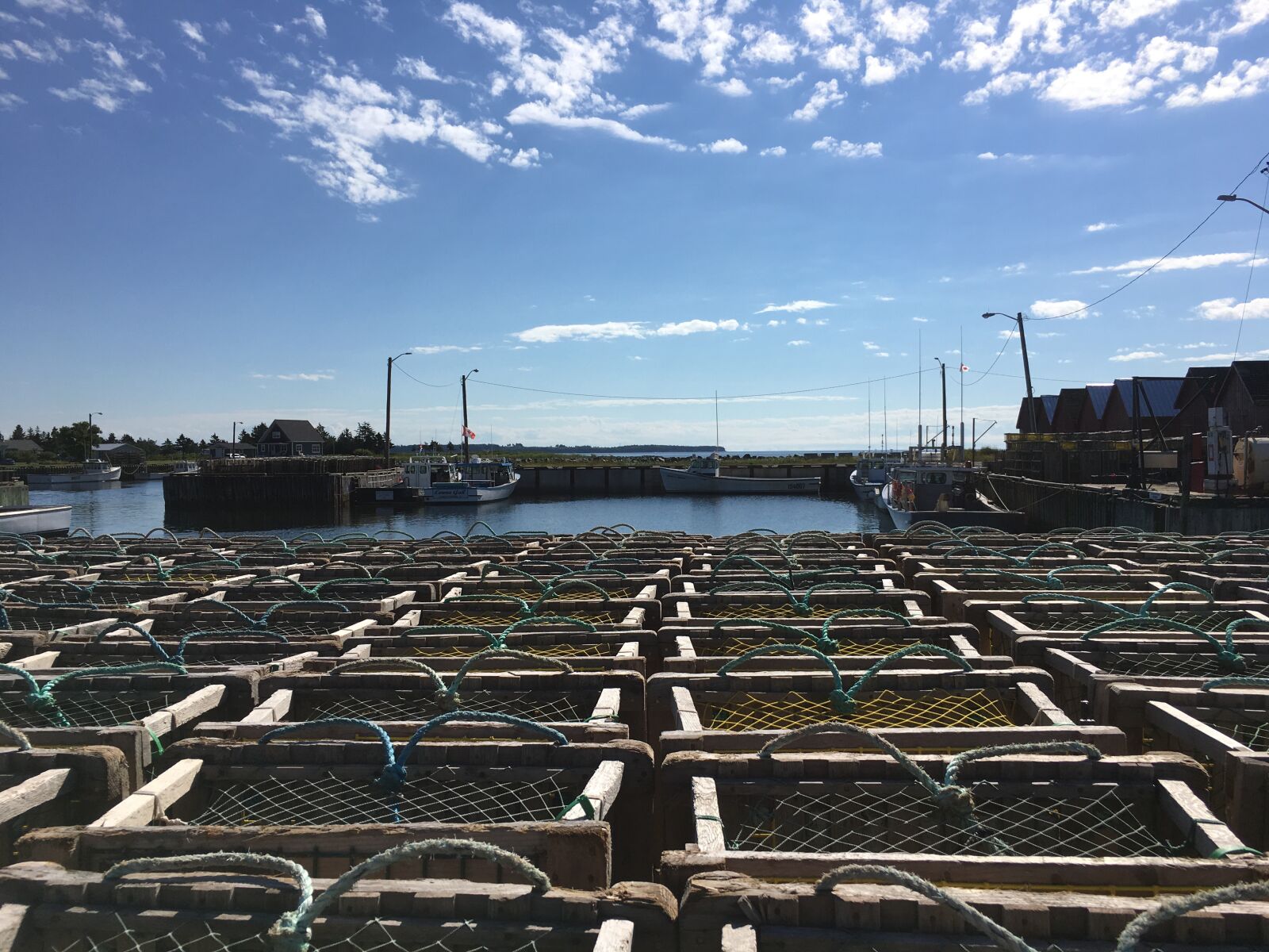 iPhone 6s Plus back camera 4.15mm f/2.2 sample photo. Lobster pots, pei, wharf photography