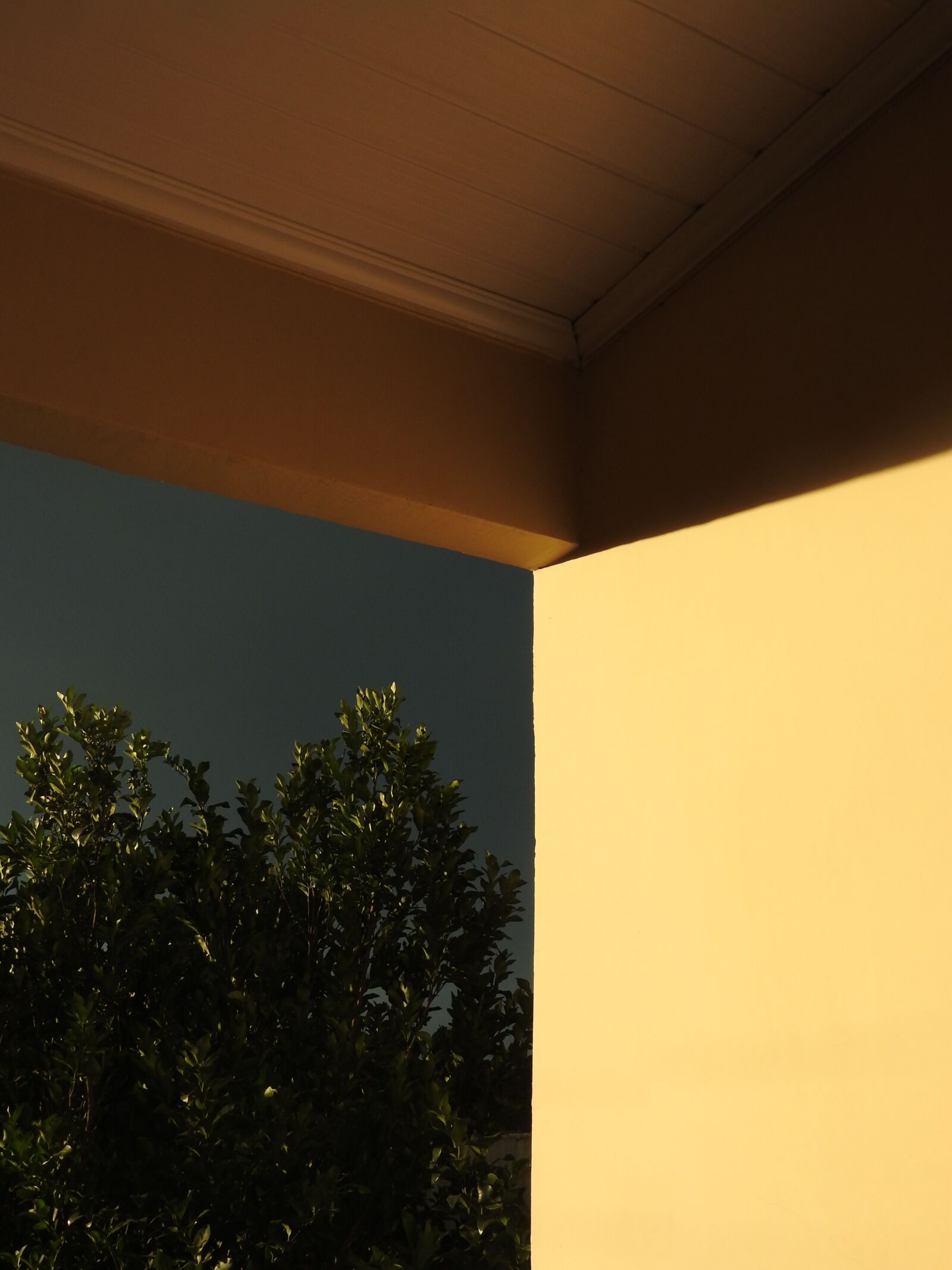 Nikon Coolpix P610 sample photo. Home, light, sun photography