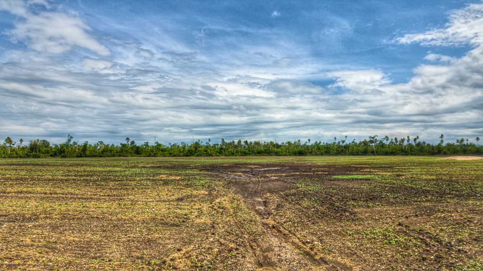 Samsung Galaxy S7 Edge sample photo. Panoramic, nature, landscape photography