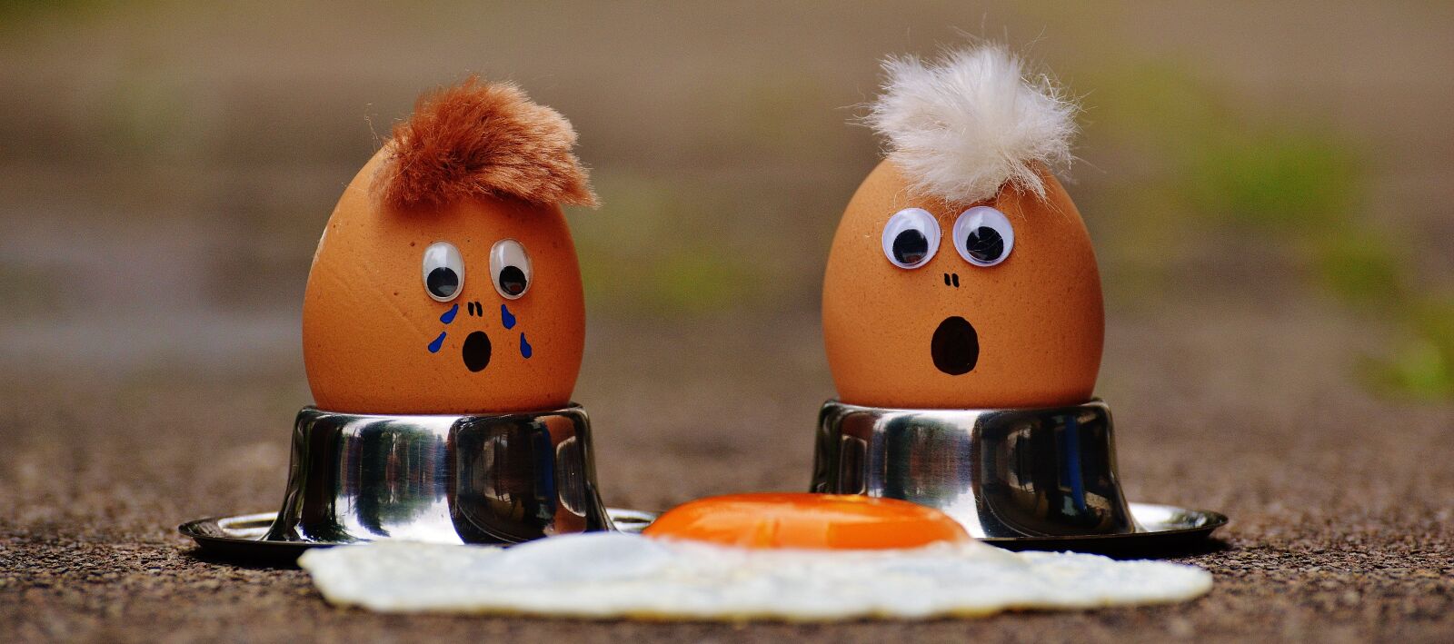 Nikon D3200 sample photo. Egg, fried, mourning photography