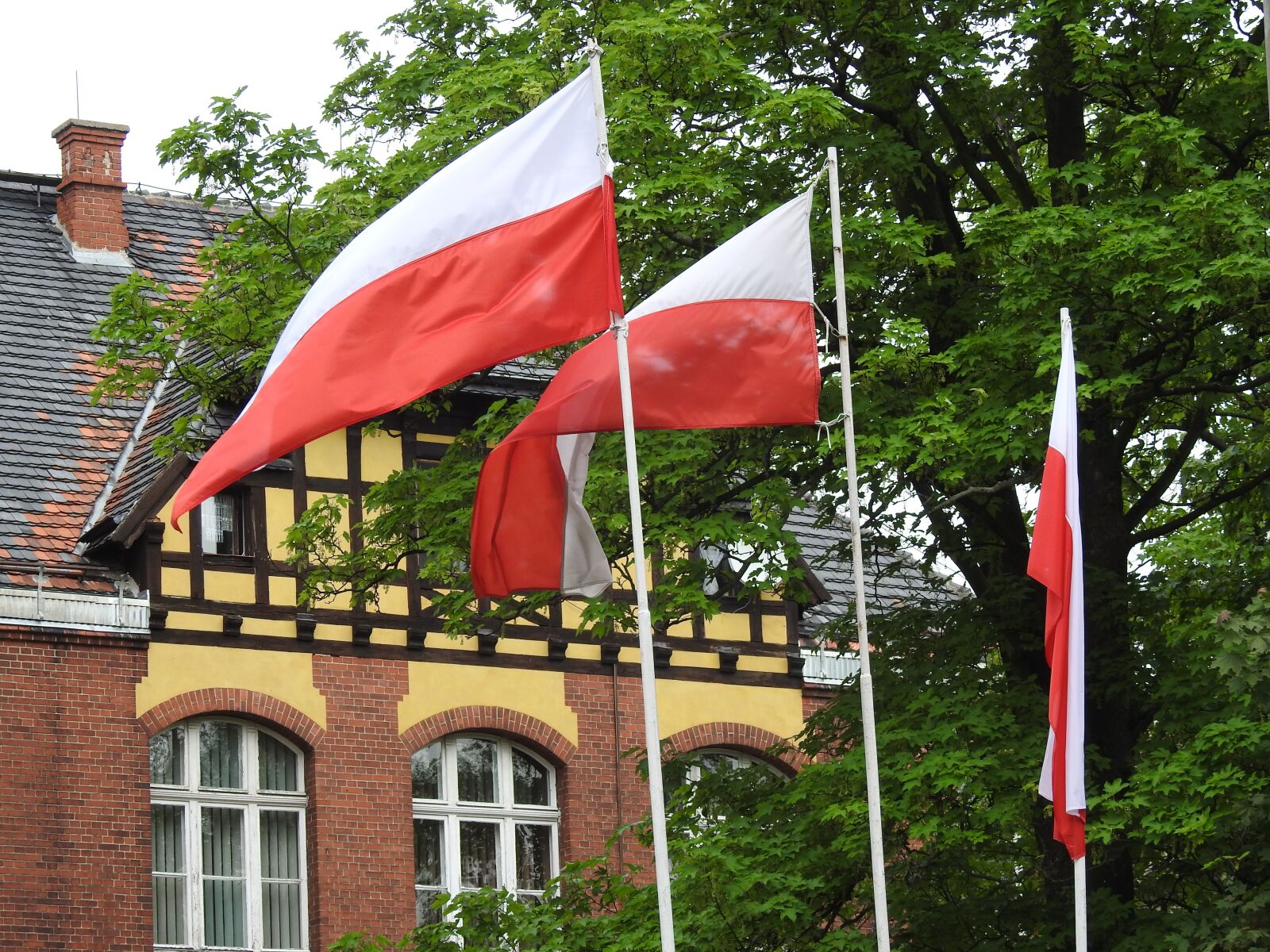 Nikon Coolpix P900 sample photo. Flag, architecture, at the photography