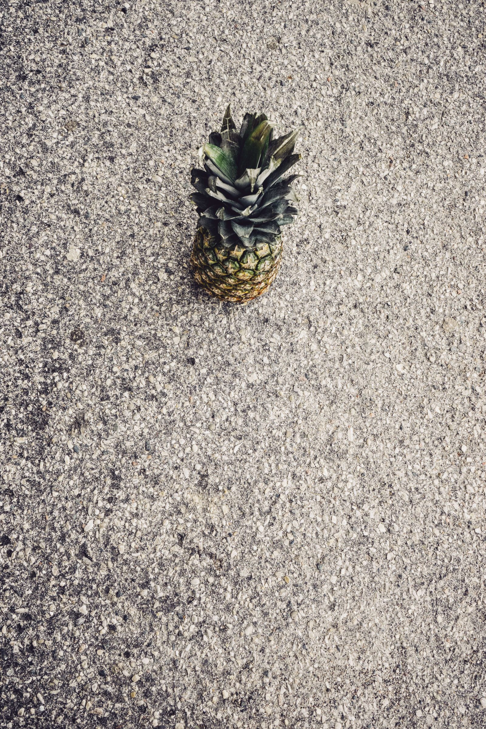 Sony a7 II + Sony FE 28-70mm F3.5-5.6 OSS sample photo. Asphalt, fruit, pineapple photography
