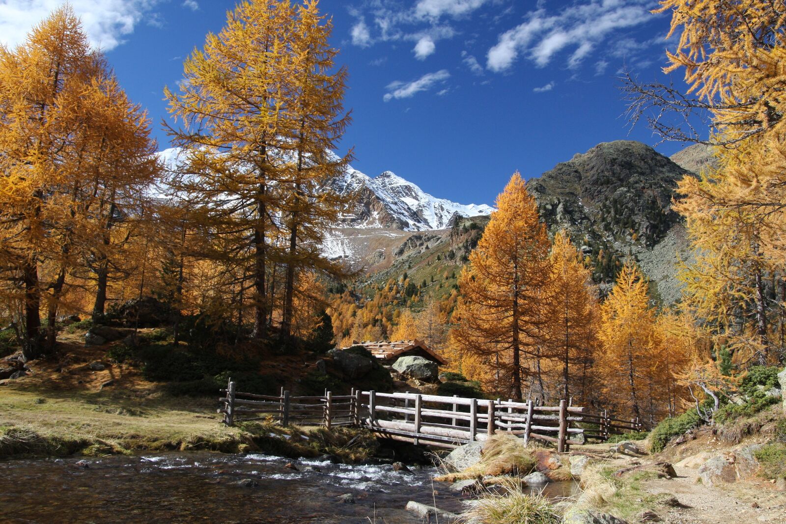 Canon EOS 40D sample photo. Autumn, wood, nature photography