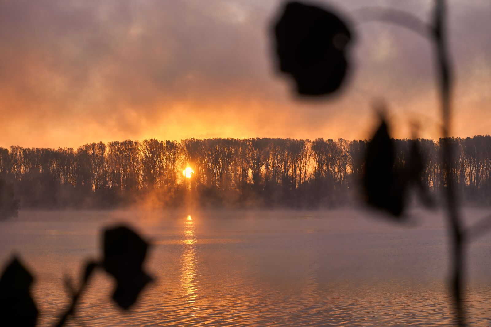 Sony a6400 sample photo. Sunrise, fog, mood photography