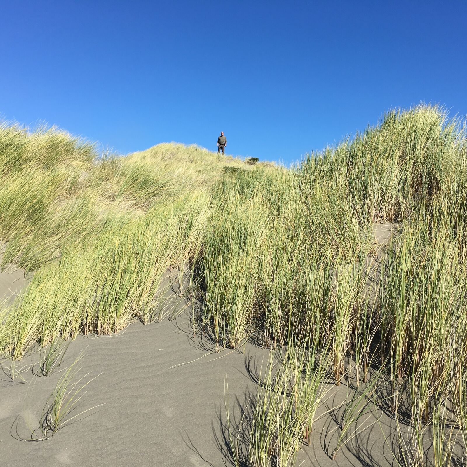 Apple iPhone 6s sample photo. Sand dunes, beach, cliff photography