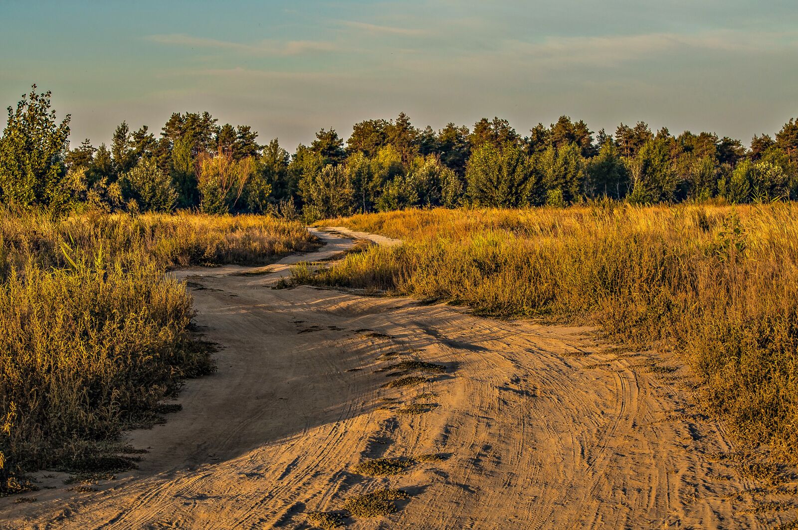 Nikon D90 sample photo. Road, field, grass photography