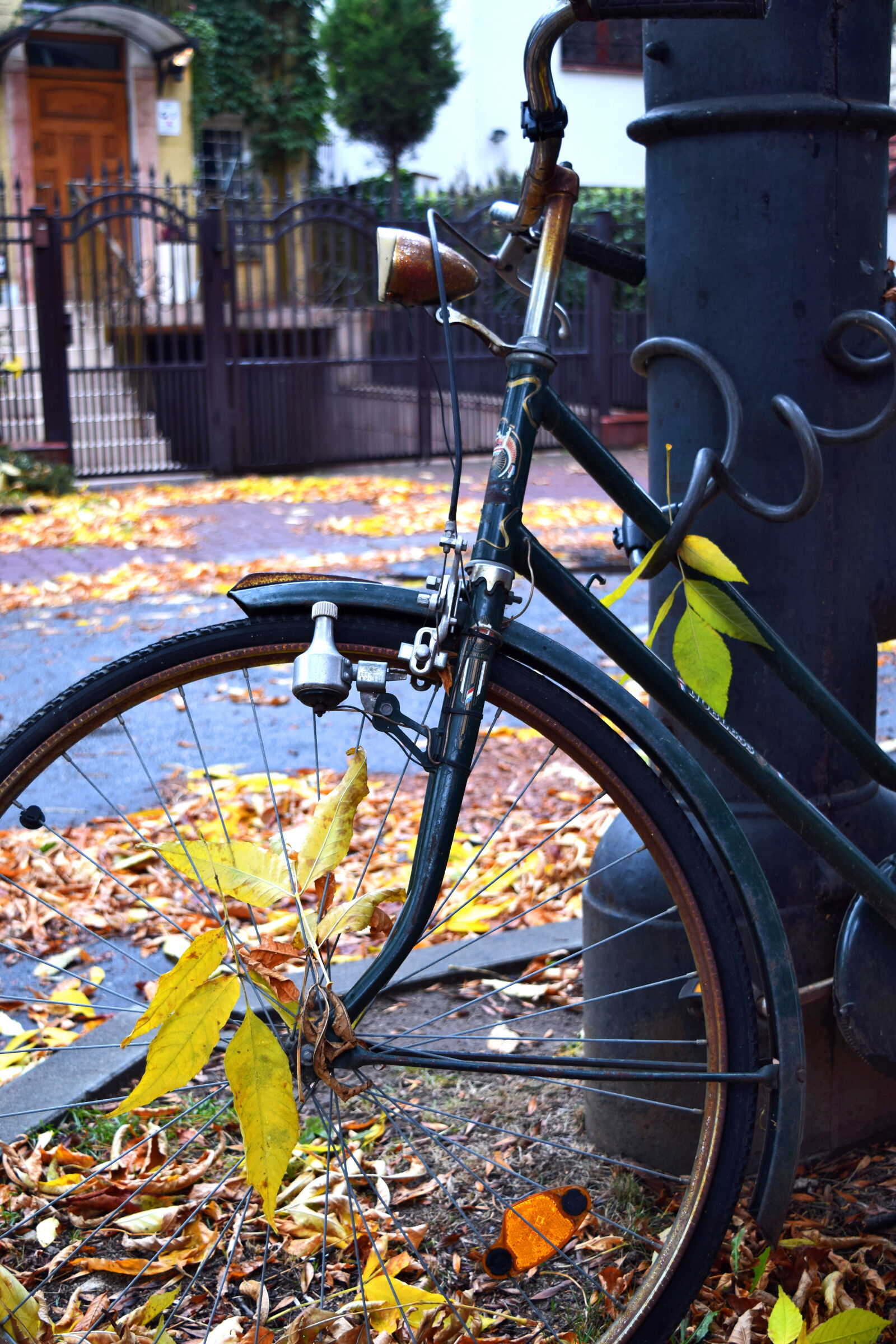 Nikon D3300 sample photo. Bicycle, leaves, rust, saska photography