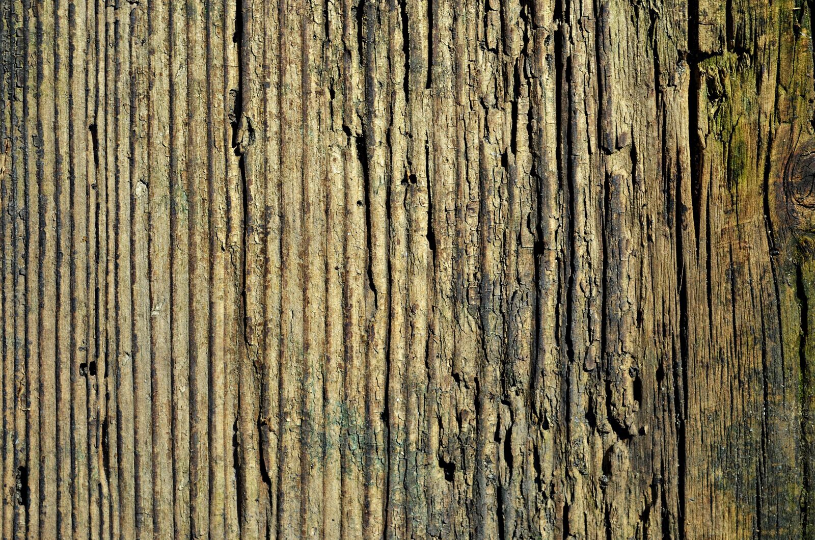 Nikon D5100 sample photo. Wood, board, texture photography