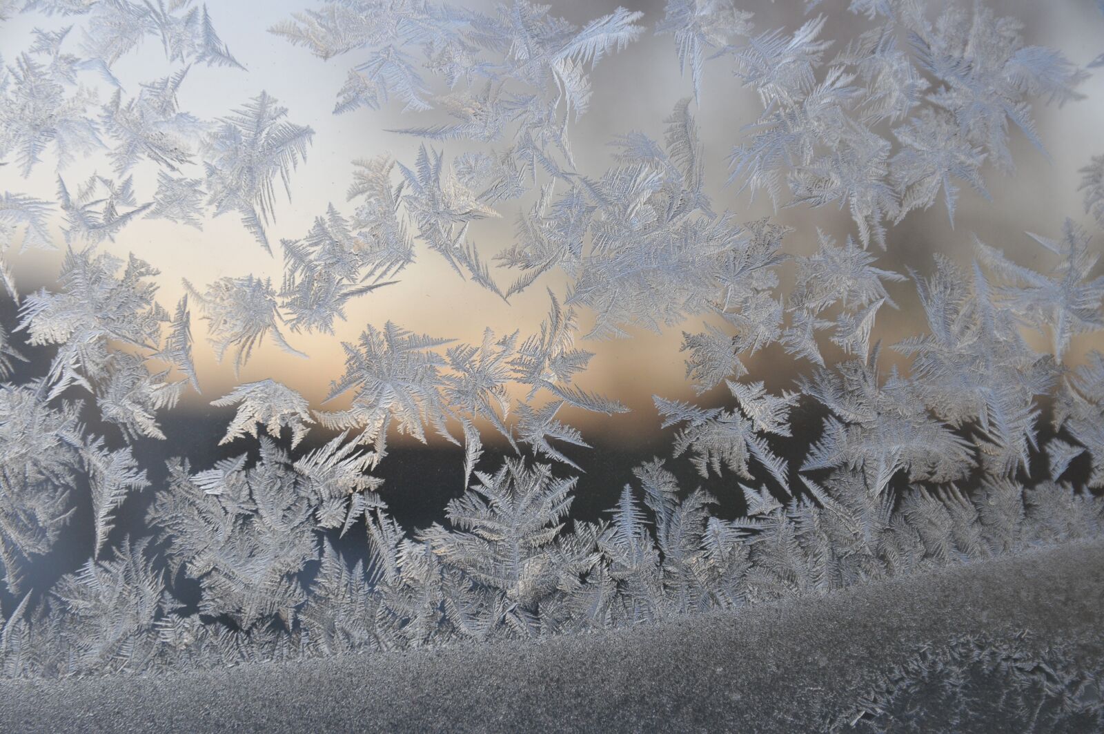 Nikon D300S sample photo. Winter, frost, window photography