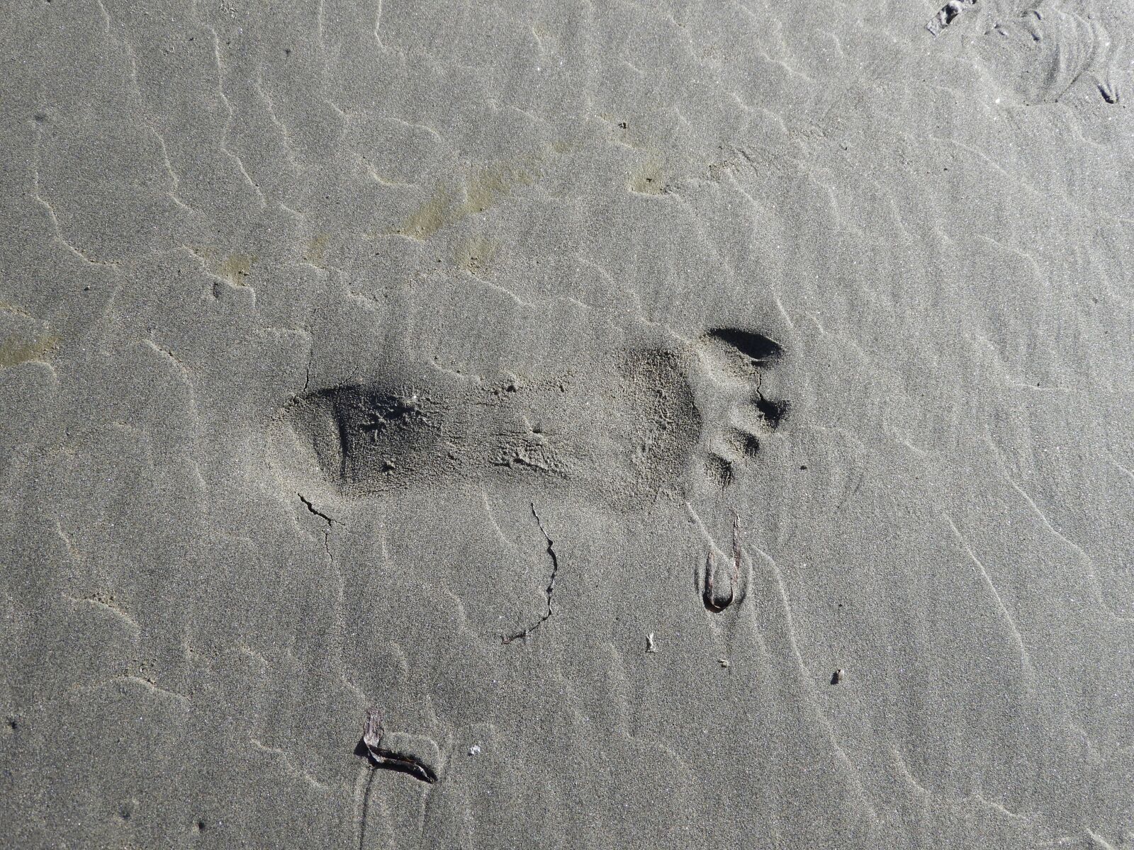 Nikon Coolpix B700 sample photo. Footprint, sand, beach photography