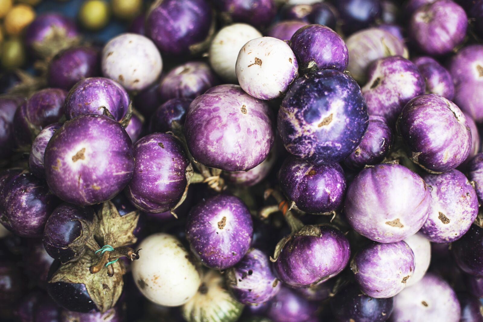 Canon EOS 6D + Canon EF 50mm F1.4 USM sample photo. Agriculture, close-up, eggplants photography