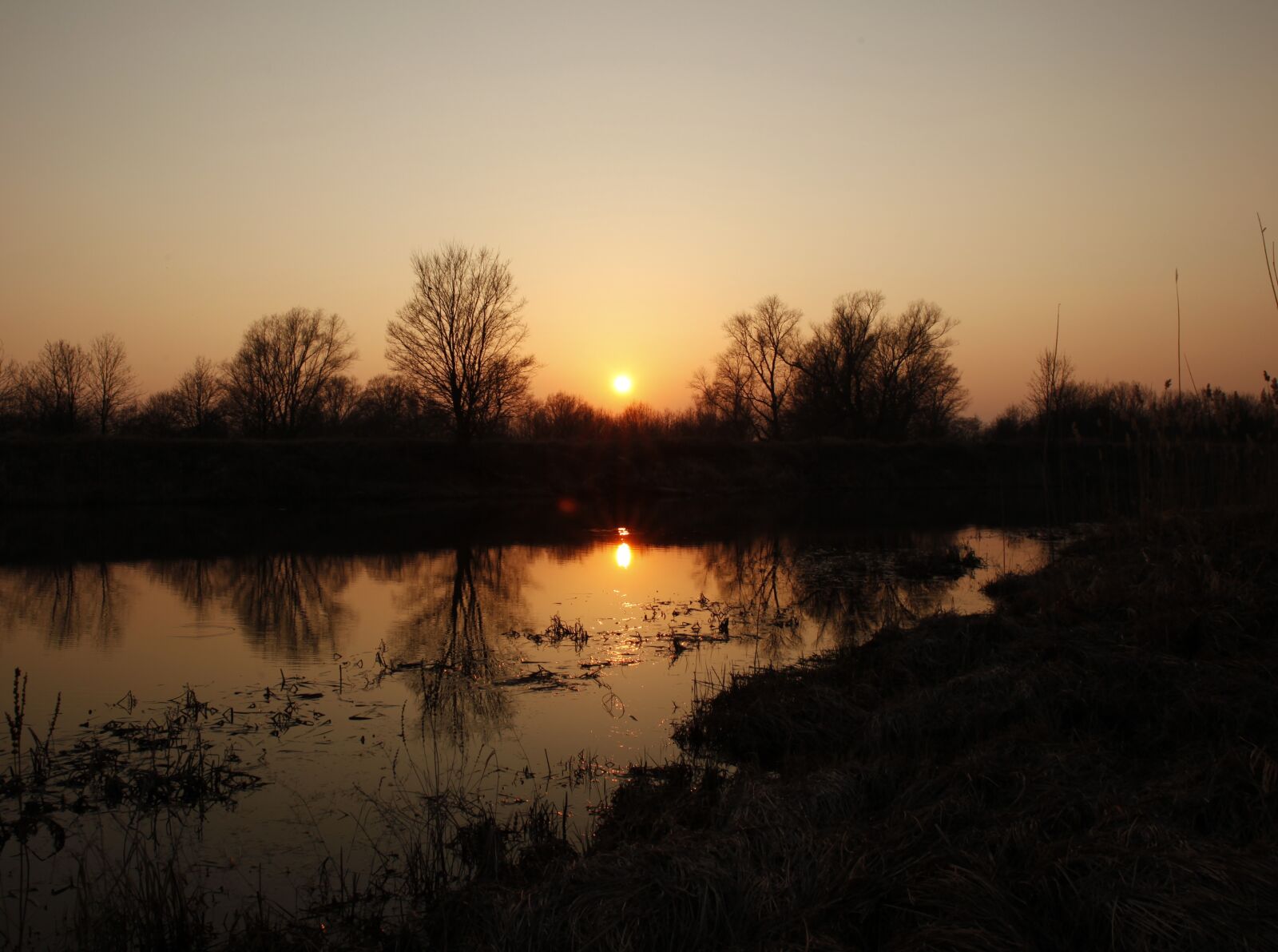 Canon EOS 5D Mark II sample photo. Sun, tree, water photography