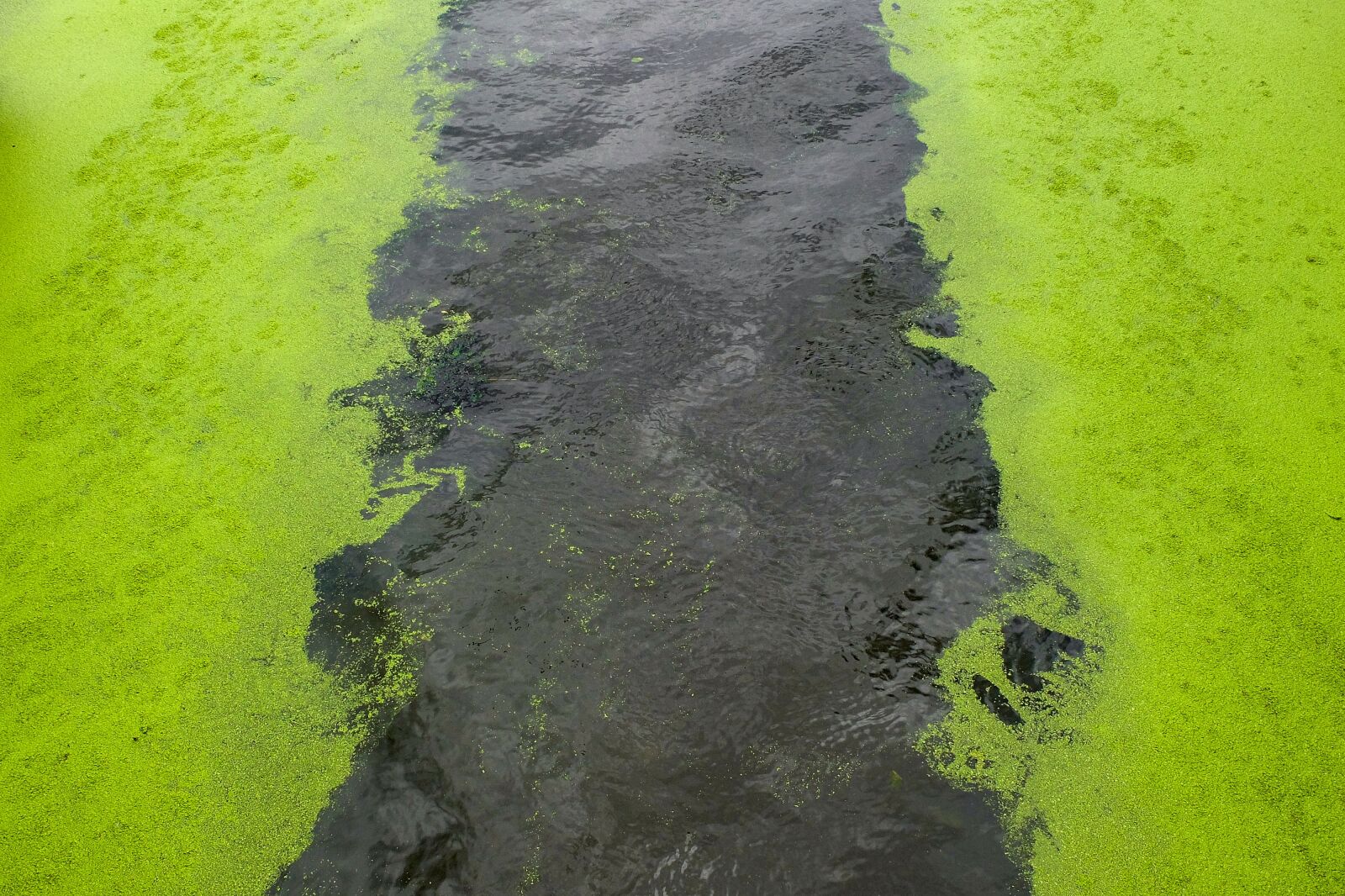 Fujifilm X30 sample photo. Canal, water, froth photography
